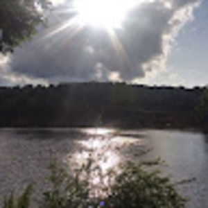 Meet your Posher, Mario m